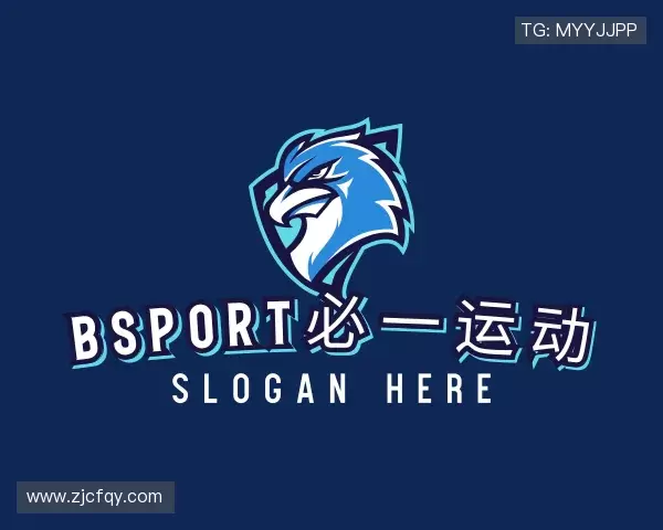 解读BSport必一