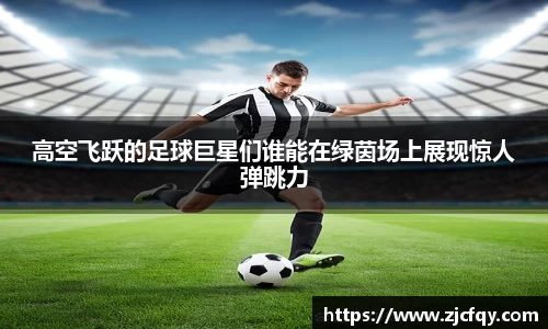 BSport必一